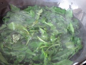开水焯烫后备用。野菜大多会有苦涩味，或者有微毒，要开水焯烫后再用。