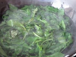 开水焯烫后备用。野菜大多会有苦涩味，或者有微毒，要开水焯烫后再用。