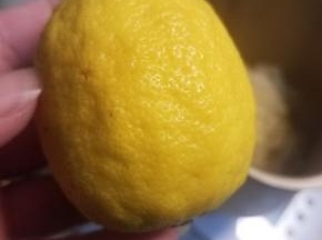 准备一个新鲜的柠檬，用盐搓洗干净。