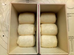 都卷好之后放入阳晨中国红吐司模具里，放入烤箱进行二发，在烤箱里放一碗温水帮助发酵，但是二发温度不要超过38度。