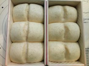 左边的是用刀片划开的，右边的是用剪刀剪开的（自已选择一种方式吧）