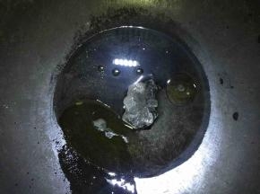 食油和白糖放入锅中，添20克水，熬糖色