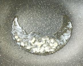 起油锅，放姜末蒜末煸出味。