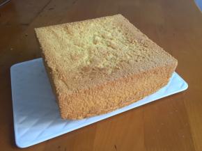 很好，没塌腰，没回缩