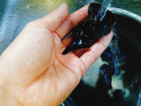 洗净泡发好的木耳并撕小朵