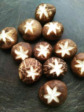 香菇洗干净，挤出水后打花刀。