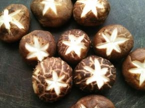 香菇洗干净，挤出水后打花刀。