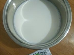 凉凉至手温后加入乳酸菌粉，搅拌均匀。