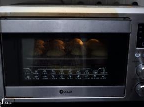 放入东菱烤箱中下层，上下温度是30度，30分钟。