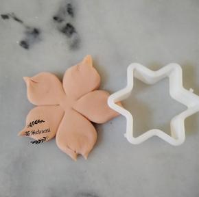 再用六角星的模具压出一个小角。