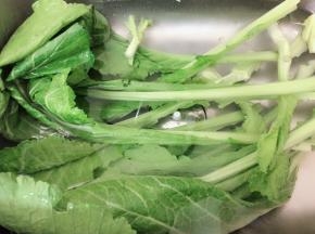 春菜先泡一会水