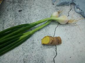生姜，葱准备齐全