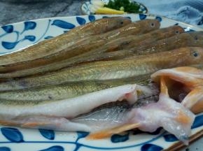 再用剪刀把泥鱼肚子剪开，去除鱼肚里不能吃的东西，用流水冲洗干净，控干水分，油煎的时不会溅起来，这也是窍门哦，无论什么鱼，只要有腥味、都可以用这个方法来处理