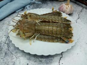 现在的皮皮虾各顶个肥的