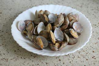 花蛤开口后就要马上捞起来了