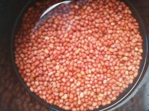 然后放入高压锅，加650g水煮烂。