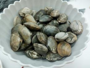 花蛤提前放清水中，加一勺盐让花蛤吐沙，也可在买花蛤时让商贩给点海水，花蛤用清水清洗几遍，再将带回的海水养花蛤，让其来吐沙