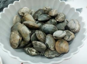花蛤提前放清水中，加一勺盐让花蛤吐沙，也可在买花蛤时让商贩给点海水，花蛤用清水清洗几遍，再将带回的海水养花蛤，让其来吐沙