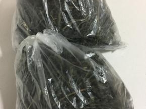 晒干后装在保鲜袋中密封保存即可。