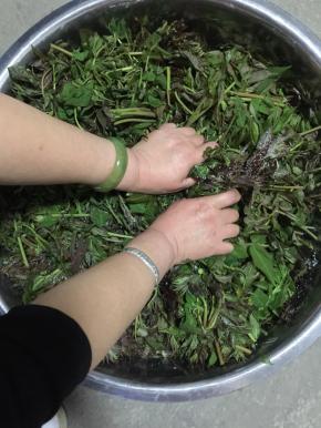 用手使劲儿的揉搓，把香椿芽揉透，变蔫儿。（记得要先把手清洗干净再动手揉哦。）