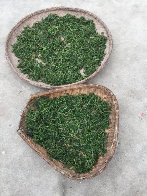 把腌制好的香椿芽分散装在簸锣和饭框中，放在阳光下晒干即可。（天气晴朗的时候晒三天左右就干了。）