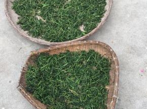 把腌制好的香椿芽分散装在簸锣和饭框中，放在阳光下晒干即可。（天气晴朗的时候晒三天左右就干了。）