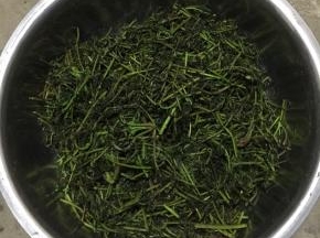 揉好后腌制一个小时，让香椿芽充分的入味儿。