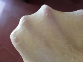 揉到可以拉开粗膜的状态加入黄油