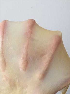 膜成功与否的标准不是薄，而是有韧性，破洞边缘很光滑无毛刺为合格