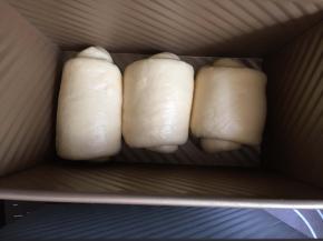 把松弛好的面团再次擀开，这个时候不要擀的太长，卷起来的时候差不多2圈半就可以，不要卷的太紧了，把卷好的面团一个个放入吐司模具中