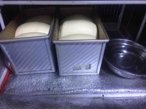 再发酵箱中放一碗开水，为了保持面团的湿度，没有发酵箱的放烤箱里，放到9分满的时候烤箱预热190度