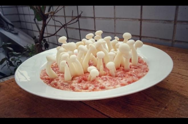 白玉菇肉饼（春回大地）