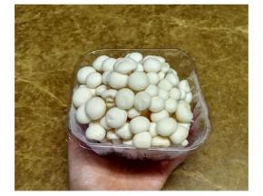 白玉菇洗净切段备用（长的菇菇要剪短一点点）