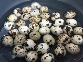 把所有的调味食材倒入砂锅中，加入适量水，冷水入锅，煮熟，约7分钟。