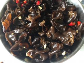 煮好的秋耳沥干水分将调料汁倒入搅拌均匀，最好有条件的可以放入冰箱冷藏半小时（可以秋耳更入味，爽脆可口）