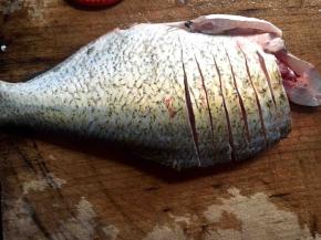 再从它的背部开始走刀往肚子的方向切，不要切断哦，大概的分割成一小块一小块的