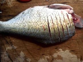 再从它的背部开始走刀往肚子的方向切，不要切断哦，大概的分割成一小块一小块的