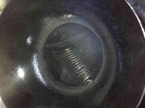 锅中倒入一点点油加热