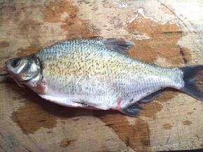 菜场买一条鳊鱼，我一般都是让菜场杀好的把鱼鳞刮干净清洗干净