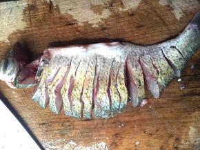 切好以后拿到水龙头冲洗干净