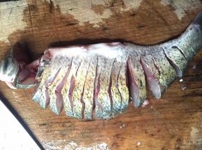 切好以后拿到水龙头冲洗干净