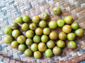 准备好青李子。越青越硬更好