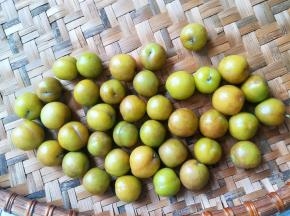 准备好青李子。越青越硬更好