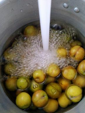 先用水泡着，洗干净