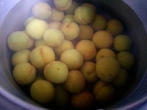 把洗干净的李子放进去热水泡着，等下一股香香的李子味就出来了