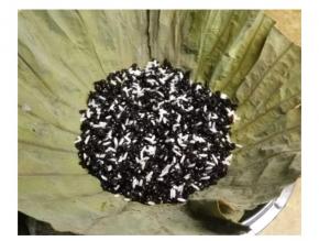 第二天开蒸：将竹笼先铺两层保鲜膜封闭，再铺上荷叶；糯米沥干水分，用盐、油拌匀腌10分钟，腌好后倒一半糯米入竹笼里。