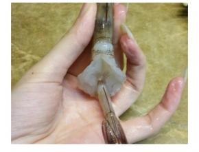 虾洗净，虾身剥壳留虾头虾尾不用剥，去掉虾线，虾身中间切开，将虾尾从底穿过，如图。