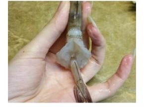 虾洗净，虾身剥壳留虾头虾尾不用剥，去掉虾线，虾身中间切开，将虾尾从底穿过，如图。