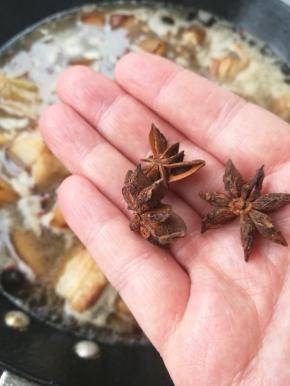 加入水淹过五花肉，放入八角。