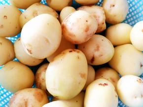 土豆洗干净，皮不用管，新鲜的土豆洗的时候皮会自然脱落